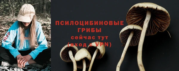 альфа пвп Вяземский