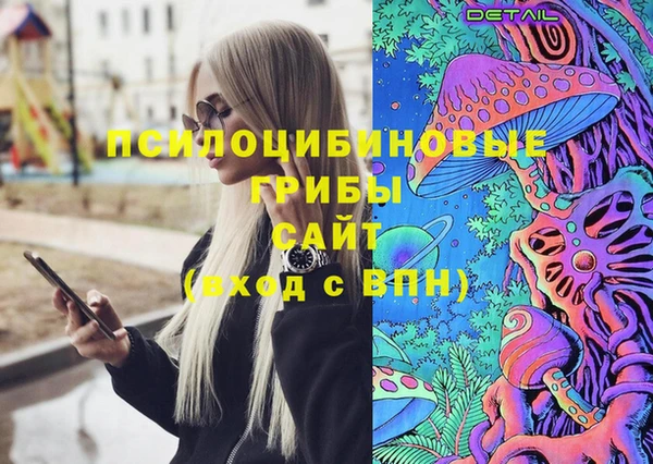 стафф Вязьма
