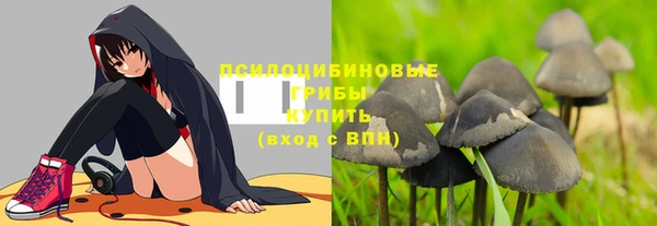 стафф Вязьма