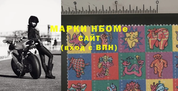 стафф Вязьма