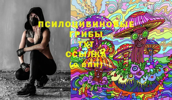 стафф Вязьма