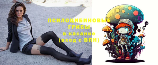 стафф Вязьма