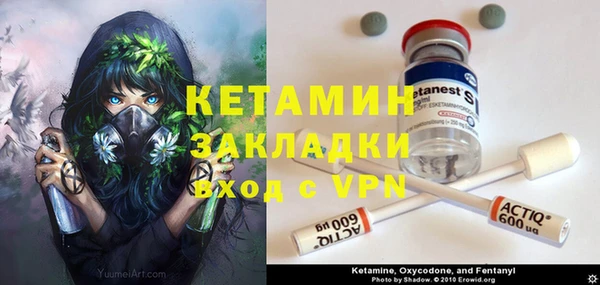 стафф Вязьма