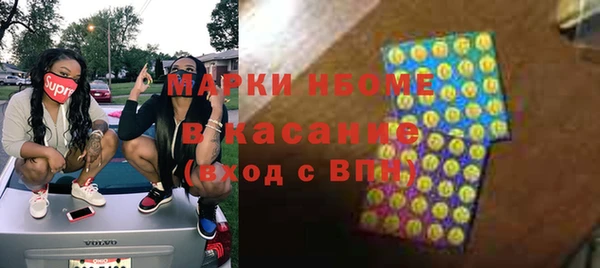 стафф Вязьма