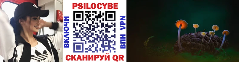 Псилоцибиновые грибы Psilocybe  Купить закладки  Красный Холм 